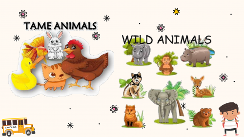 WE CAN 2 Unit Wild Animals