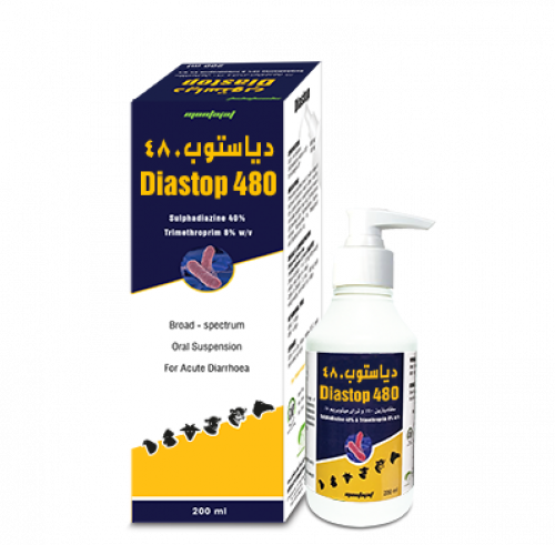 ضغاط ديا استوب للاسهالات الحادة Diastop 480