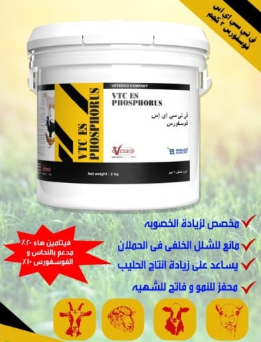 في تي سي فيسفورس