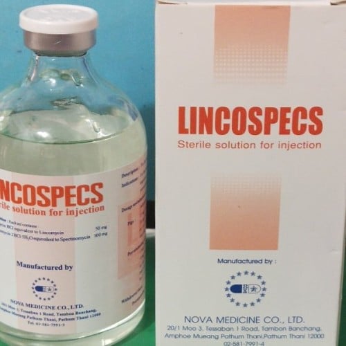 حبيب البهم lincospecs