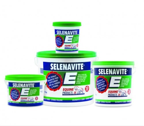 سيلينافايت إي باودر 4 ك Selenavite E 4 KG