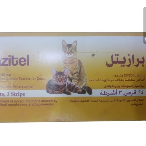 برازتيل قطط