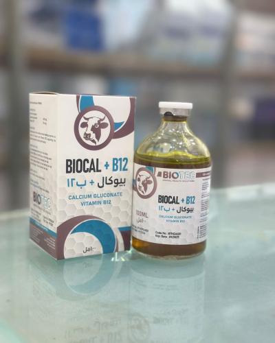 biocal + b12