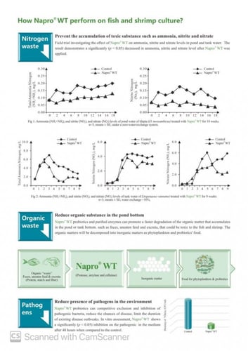 نابرو دبليو تي بروبيوتكس 1 كيلو Napro WT Probiotic...