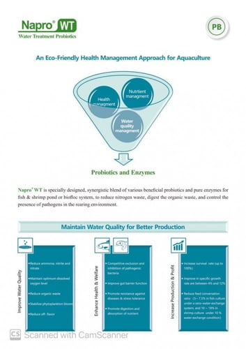 كرتون نابرو دبليو تي بروبيوتكس 10 كيلو Napro WT Pr...