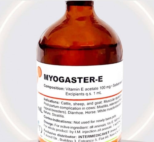 ه سلينيوم myogaster e 100ml