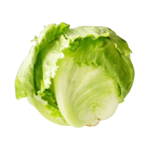 خس مدور حبة