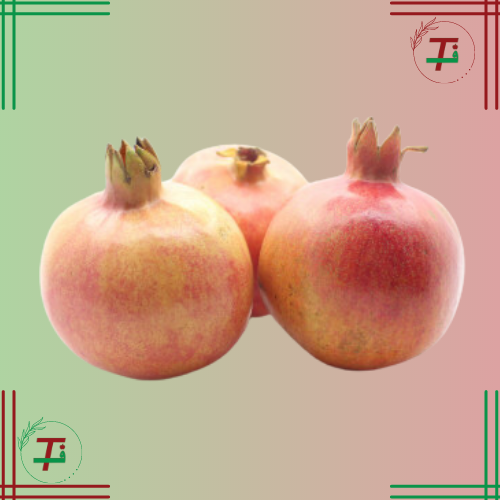 رمان نصف كيلو