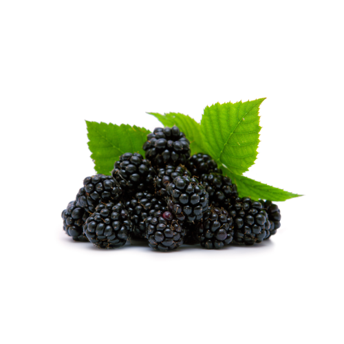 توت أسود (علبة 125 جم)