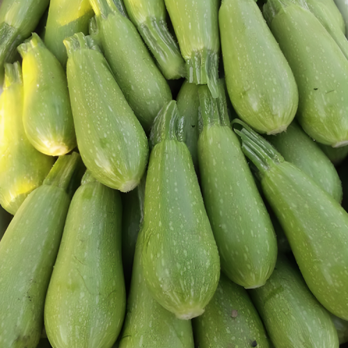 كوسة وسط (14 كجم)