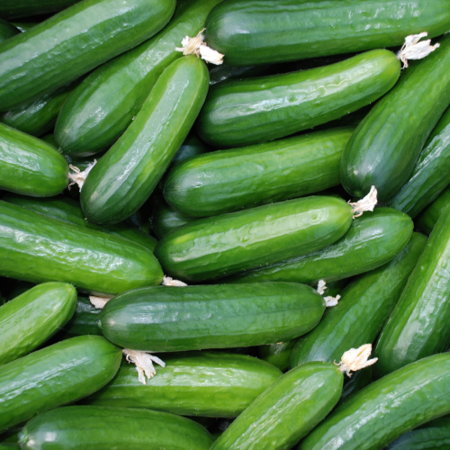 خيار (13 كجم)