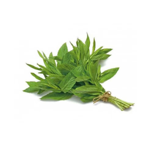 حبق (حزمة 150 جم)