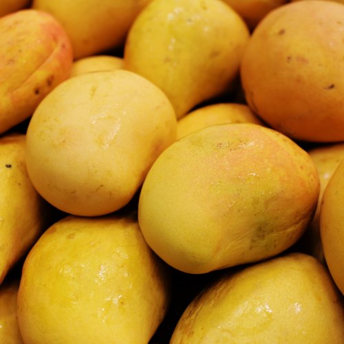 مانجو تيمور (2 كجم)