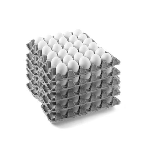 كرتون بيض (12 طبق)