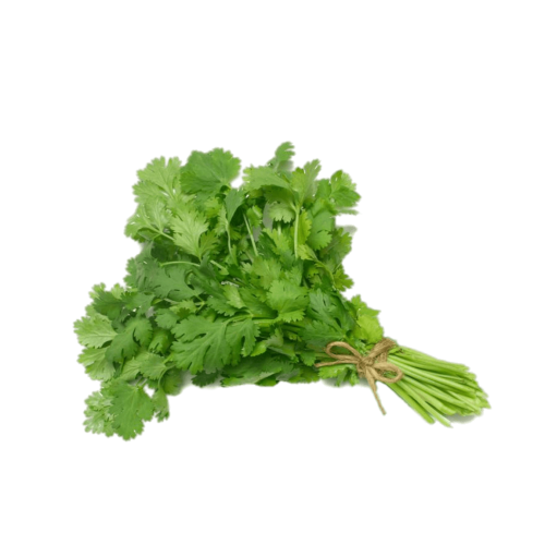 كزبرة خضراء (حزمة 150 جم)