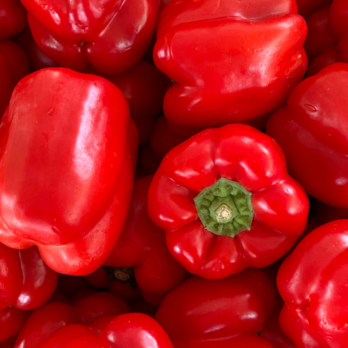 فلفل رومي أحمر (4.5 كجم)