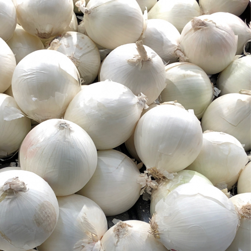 بصل أبيض (2.3 كجم)