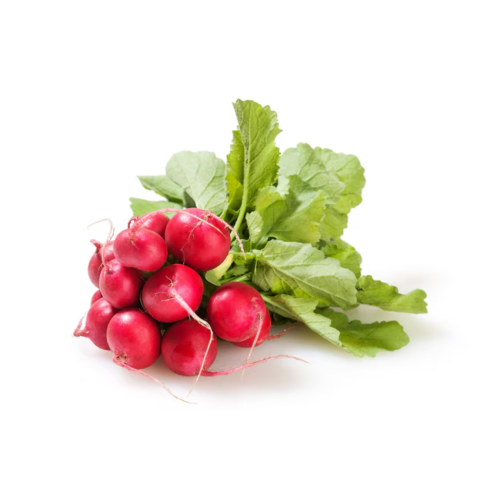 فجل أحمر (150 جم)