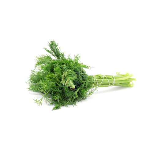 شبت (حزمة 150 جم)