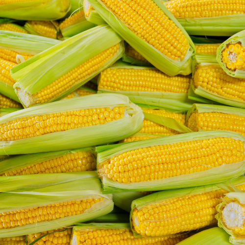 ذرة محلي (12 حبة)