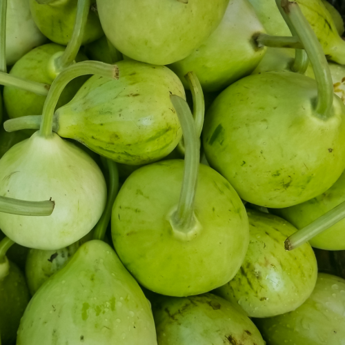 قرع أخضر مدور (13 كجم)