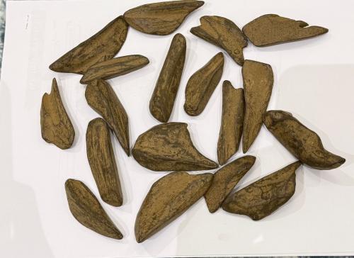 موروكي الأصالة