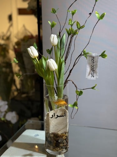فازة سمك