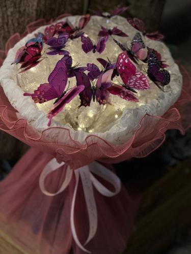 باقة فراشة مضئ