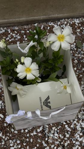 شماغ من اختياركم مع تنسيق