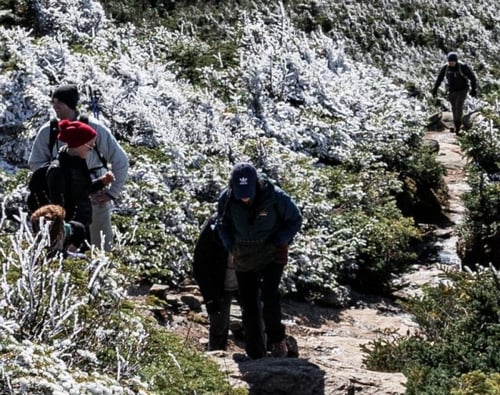 Canon RF 24-70mm f/2.8L IS USM Lens