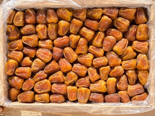 سكري جلكسي 3kg