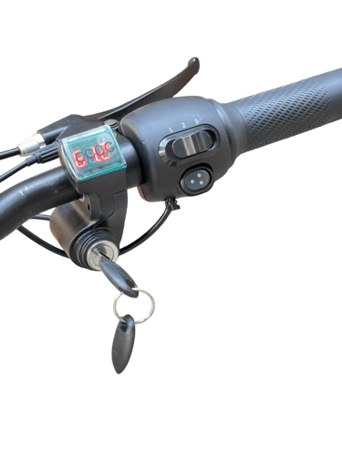 سكوتر الوحش المدرعة 60 فولت محركين 2025