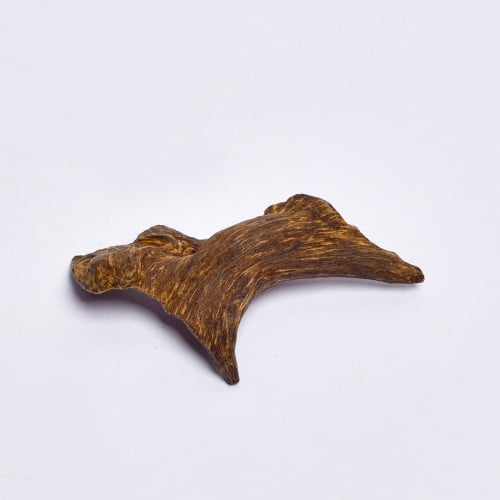 عود لاوسي قديم