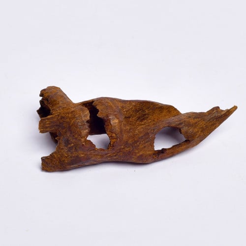 عود كلمنتان مالينو