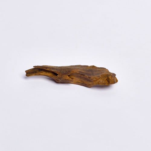 عود إرياني قديم