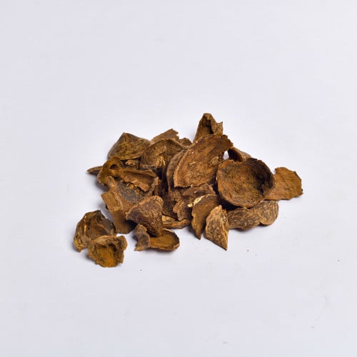 عود تايلندي قواقع