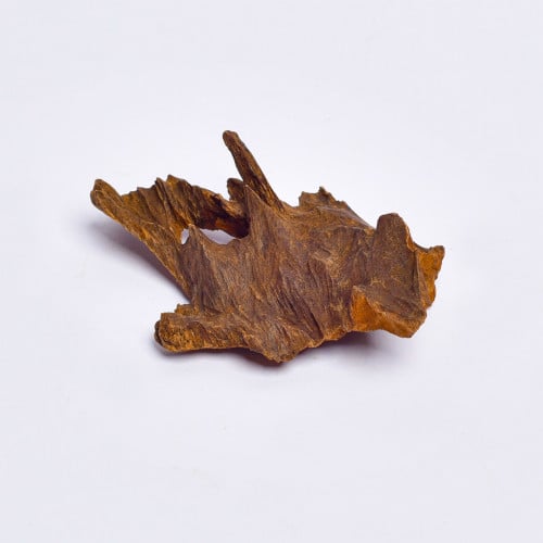 عود كلمنتان قديم