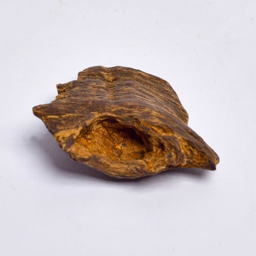 عود لاوسي قديم