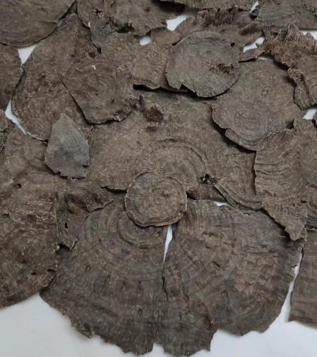 عود هندي ناجالاند چار