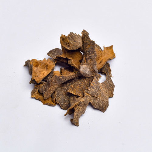 جنوب تايلند