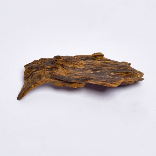 عود لاوسي قديم