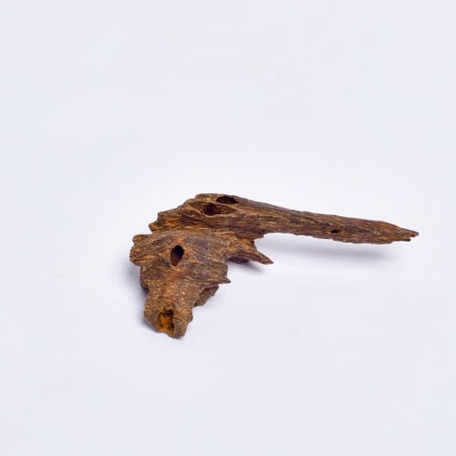 عود ماليزي قديم