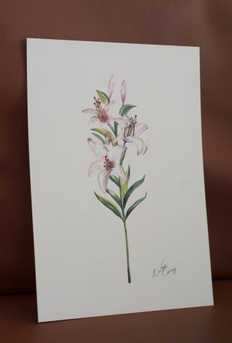 A4 prints وردة الليلي