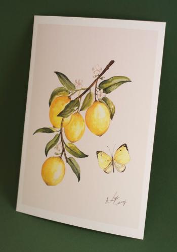 A4 prints الليمون - مع حدود