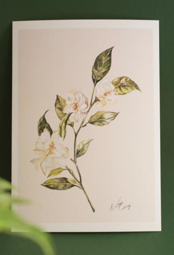 A4 prints الياسمين - مع حدود