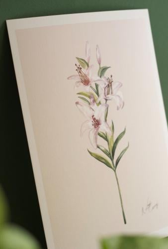 A4 prints وردة الليلي - مع حدود