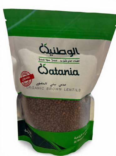 عدس بني عضوي
