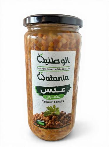 عدس الوطنية العضوي