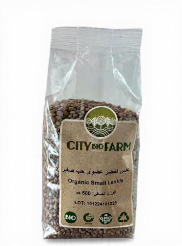 عدس اخضر عضوي حب صغير