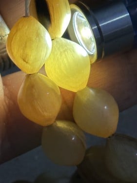 خرتيت وحيد القرن نوادر السبح والخامات المنقرضه ١١...